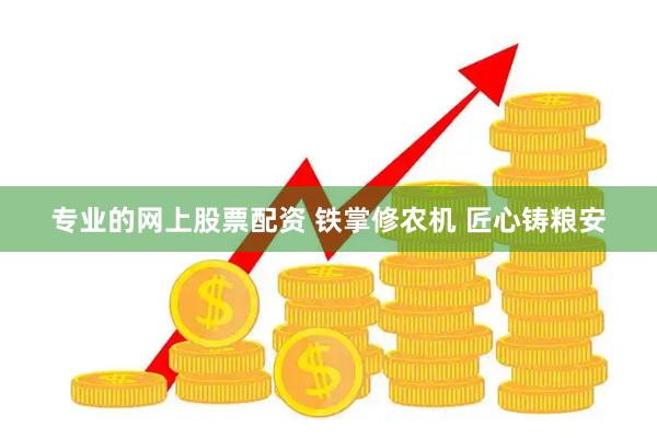 专业的网上股票配资 铁掌修农机 匠心铸粮安